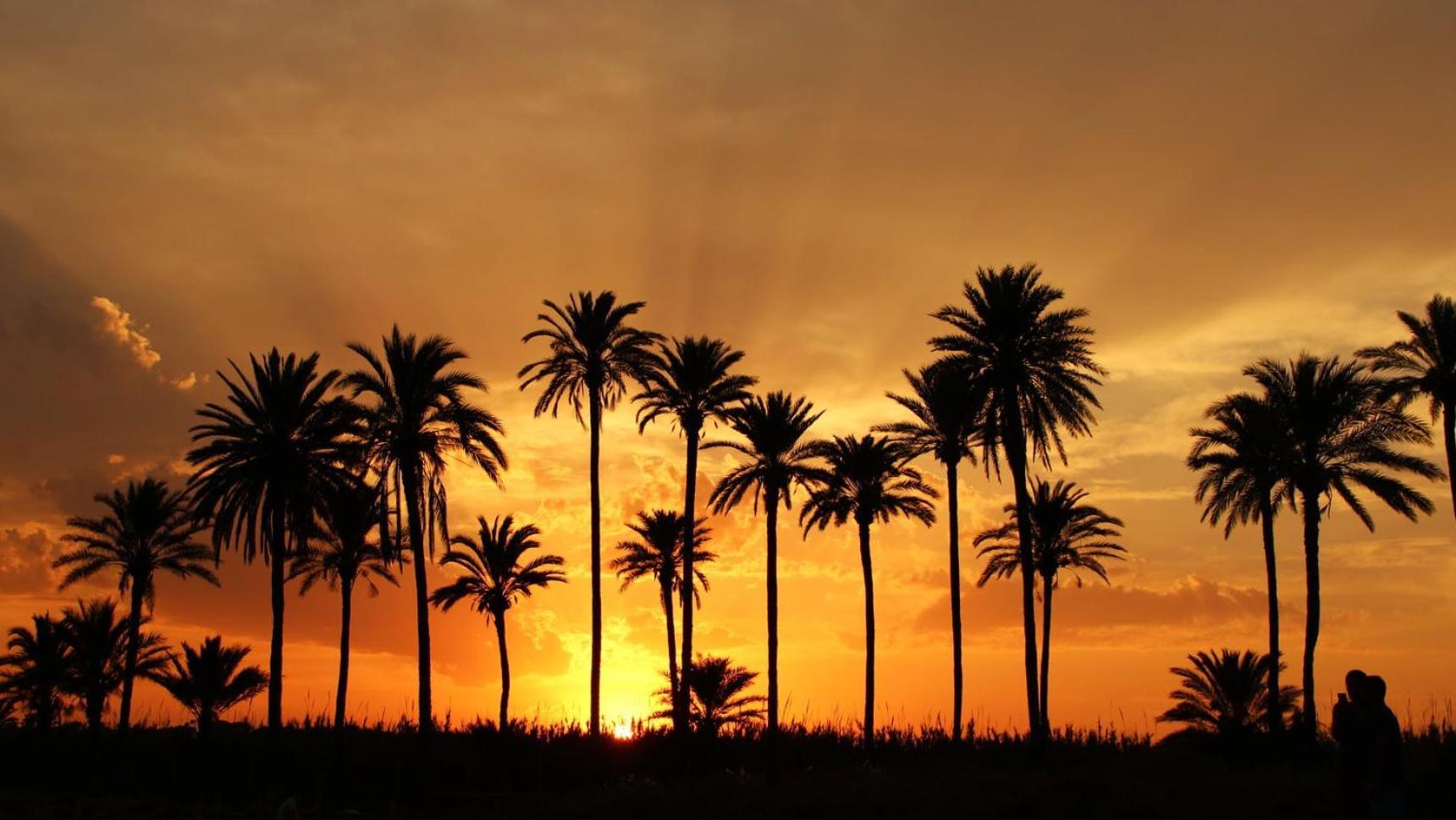 Naufragos Beach Apartment Torrevieja Buitenkant foto